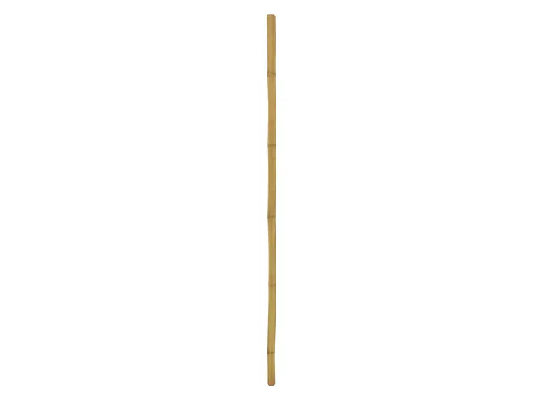 Europalms Bamboo tube, Ø=5cm, 200cm 