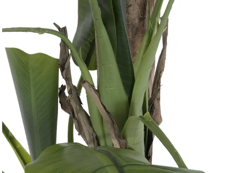 Europalms Banana tree, 170cm 