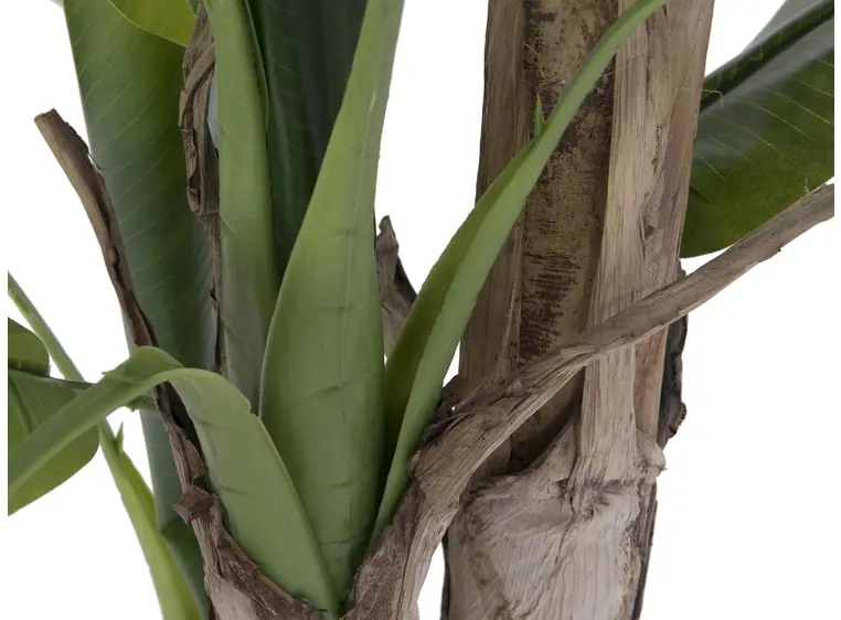Europalms Banana tree, 170cm 