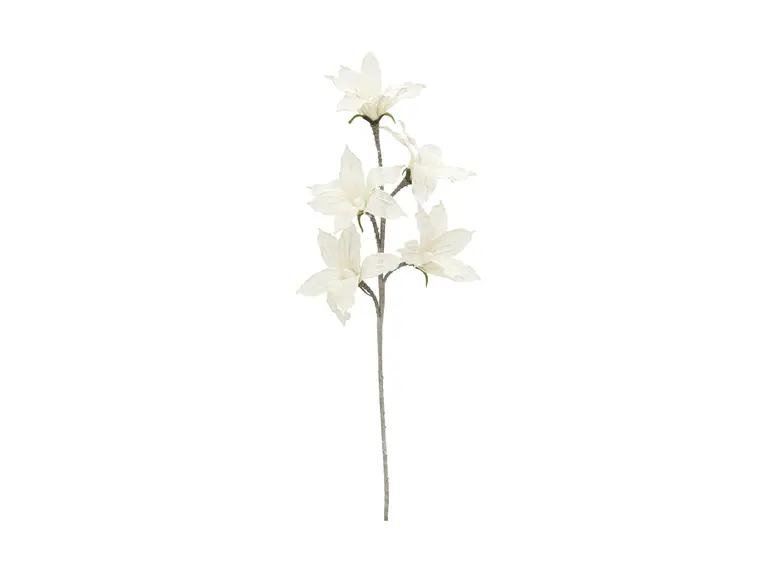 Europalms Clematis Branch (EVA), white 