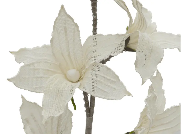 Europalms Clematis Branch (EVA), white 