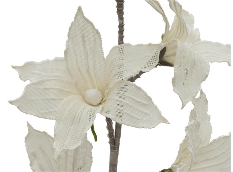 Europalms Clematis Branch (EVA), white