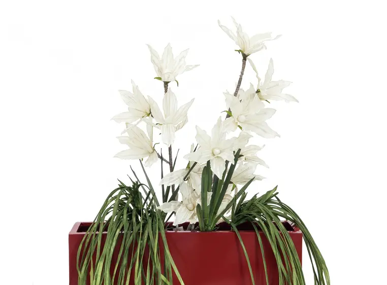 Europalms Clematis Branch (EVA), white 