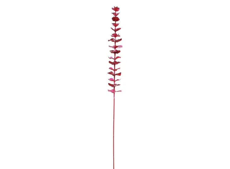 Europalms Crystal eucalyptus, burgundy 81cm 12x 