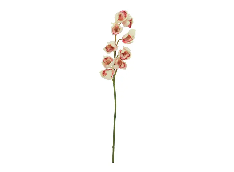 Europalms Cymbidium spray, cream-pink 90cm 
