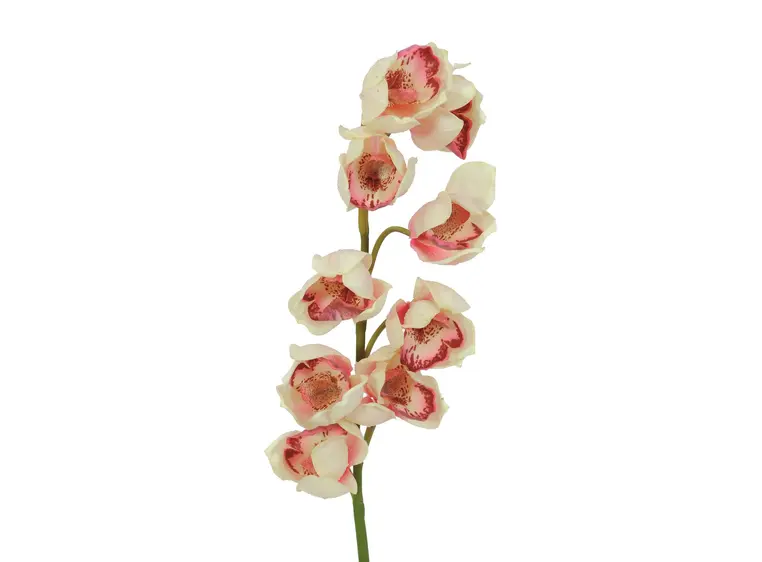 Europalms Cymbidium spray, cream-pink 90cm 
