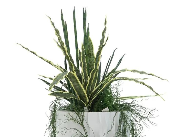 Europalms Design pot LAMELLA-140, white 
