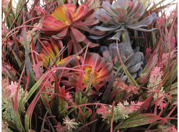 Europalms LEICHTSIN CUP-69, shiny-silver 