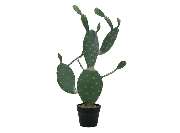 Europalms Nopal cactus, 76cm 