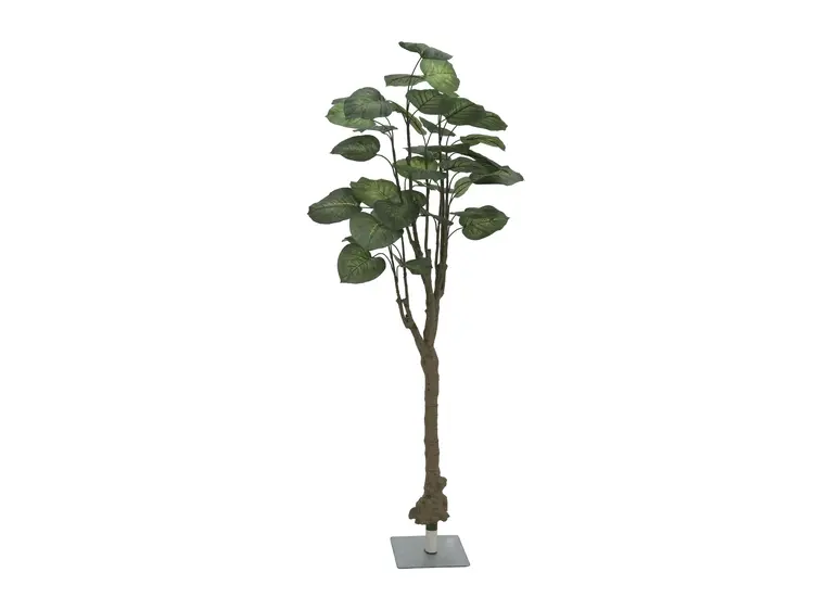 Europalms Pothos tree, 175cm 