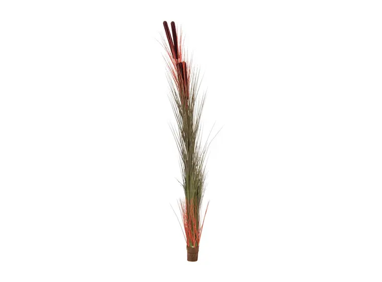Europalms Reed grass w/ cattails light-brown,152cm 