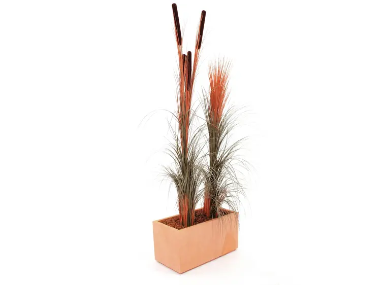 Europalms Reed grass w/ cattails light-brown,152cm 