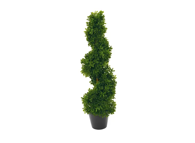 Europalms Spiral Tree, 61cm 