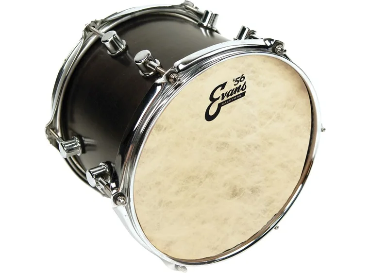 Evans TT10C7 10 Calftone Trommeskinn 