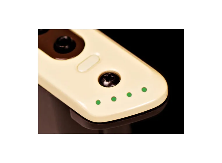 L.R.Baggs M80 Magnetic soundhole pickup 