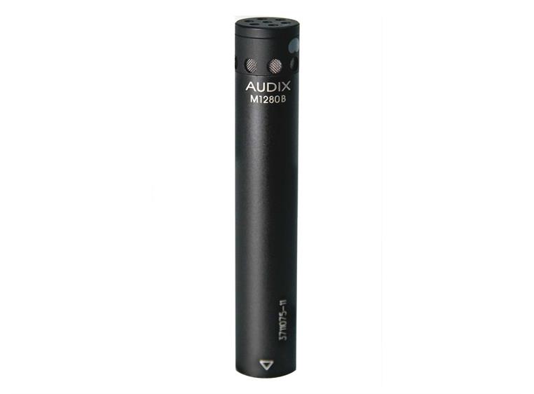 Audix M1280BS Supercardioid mic (shotgun)