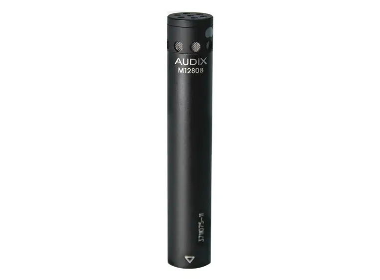 Audix M1280BS Supercardioid mic (shotgun) 
