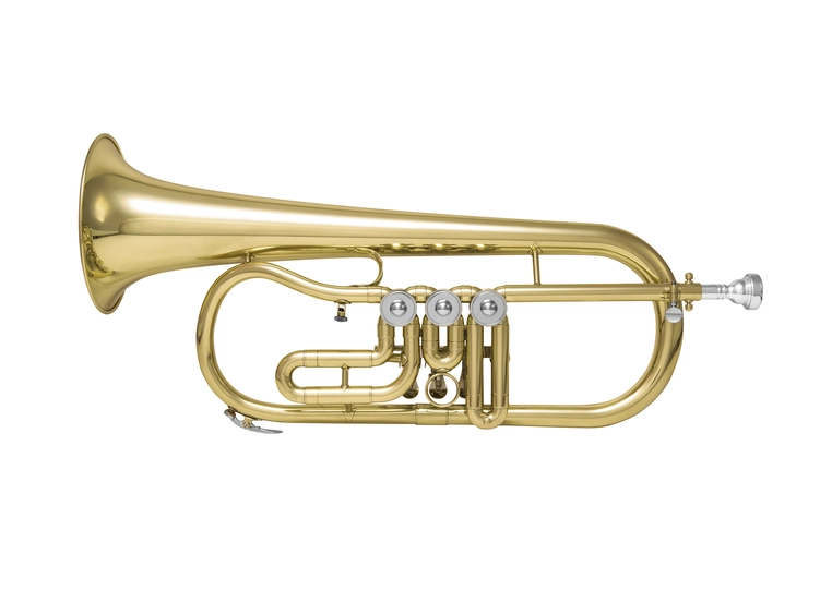 DIMAVERY FH-310D Bb Flugelhorn Rotary val 