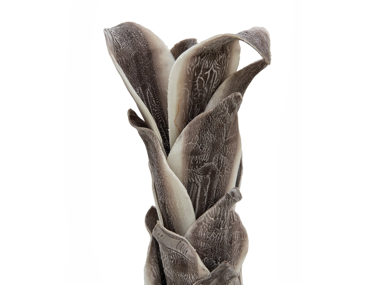 EUROPALMS Owl Feather Branch (EVA), 110cm 