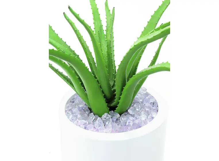 Europalms Aloe Vera Plant, 63cm 
