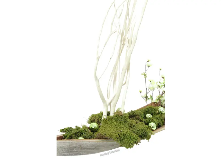 Europalms Cherry spray, cream, 60cm 