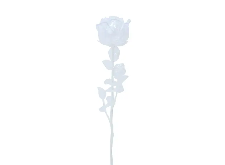 Europalms Crystal rose, clear 81cm 12x 