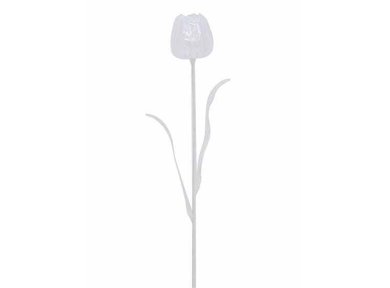Europalms Crystal tulip, clear 61cm 12x
