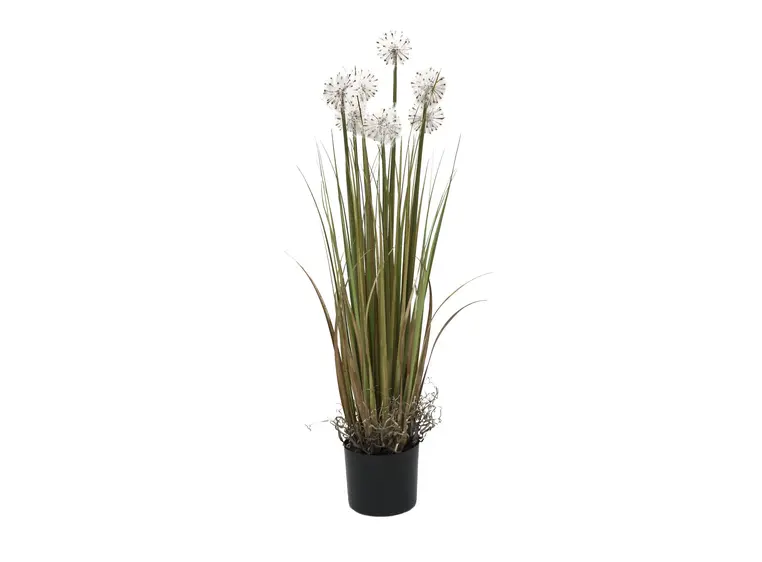 Europalms Dandelion, 107cm 