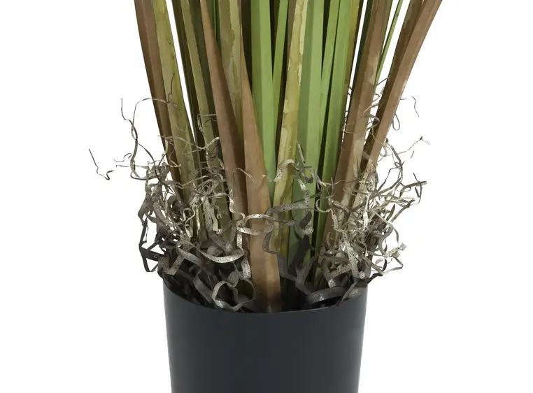 Europalms Dandelion, 107cm 