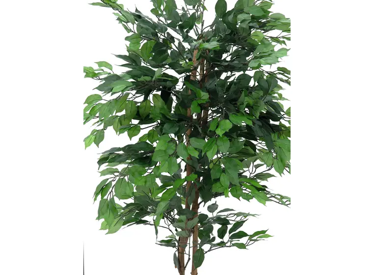Europalms Ficus Tree Multi-Trunk, 210cm 