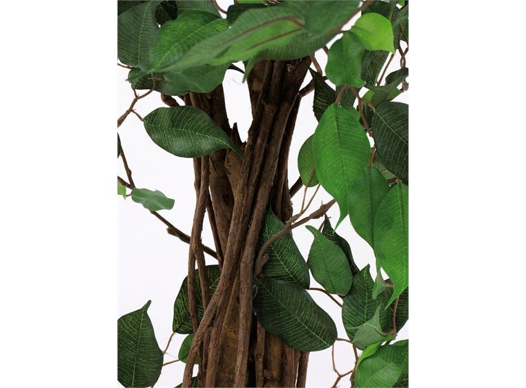 Europalms Ficus Tree Multi-Trunk, 210cm