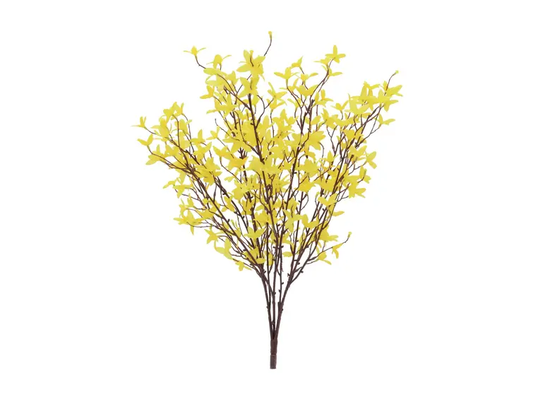 Europalms Forsythia bush, 60cm 