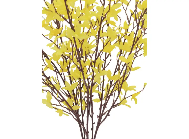 Europalms Forsythia bush, 60cm 