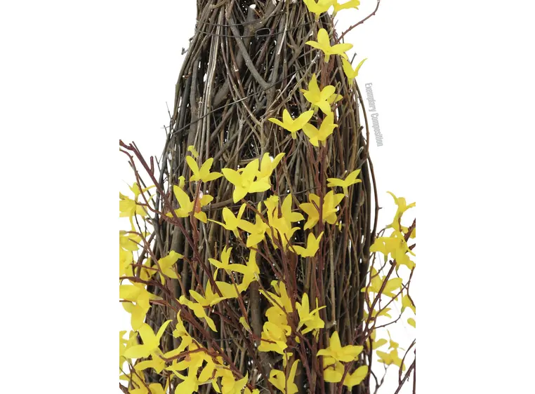 Europalms Forsythia bush, 60cm 