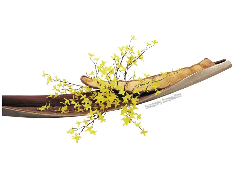 Europalms Forsythia bush, 60cm 