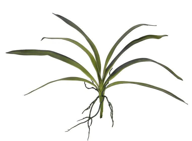 Europalms Orchid leaf (EVA), green, 45cm 