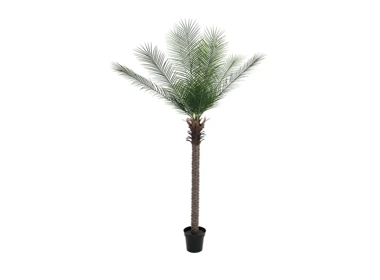 Europalms Phoenix deluxe, 220cm 