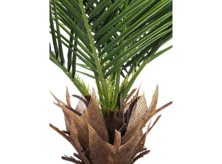 Europalms Phoenix deluxe, 220cm 