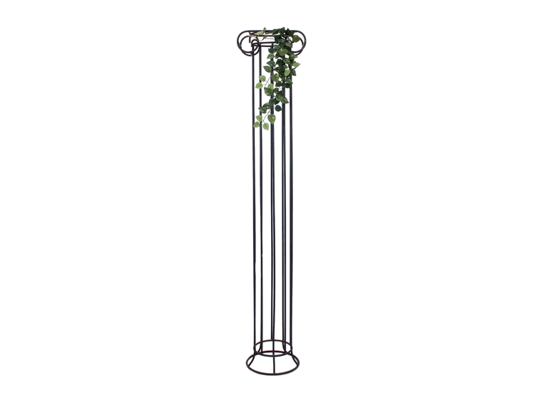 Europalms Pothos Bush Tendril Classic 70cm 