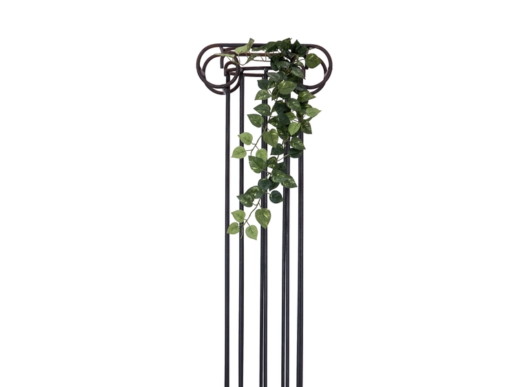 Europalms Pothos Bush Tendril Classic 70cm 
