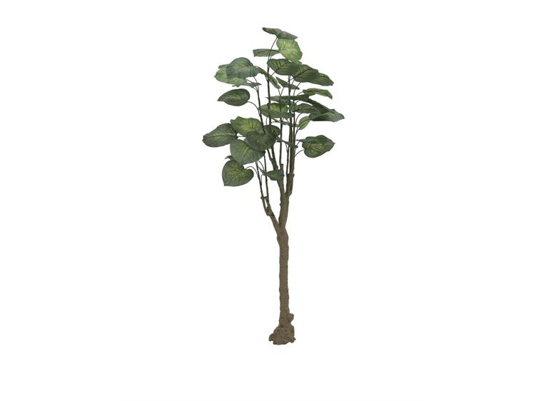 Europalms Pothos tree, 150cm