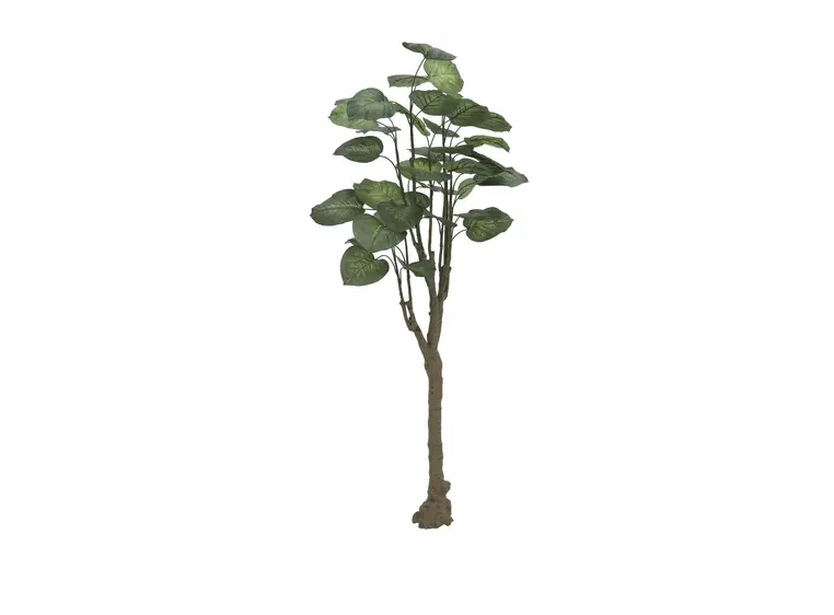 Europalms Pothos tree, 150cm 