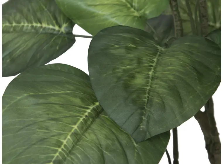 Europalms Pothos tree, 150cm 