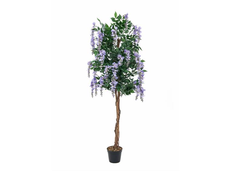 Europalms Wisteria, purple, 180cm