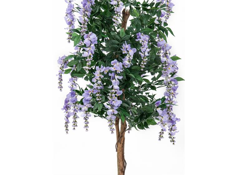 Europalms Wisteria, purple, 180cm