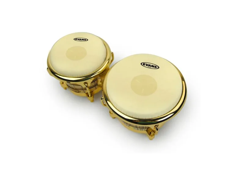 Evans EB07 Bongo Skinn 