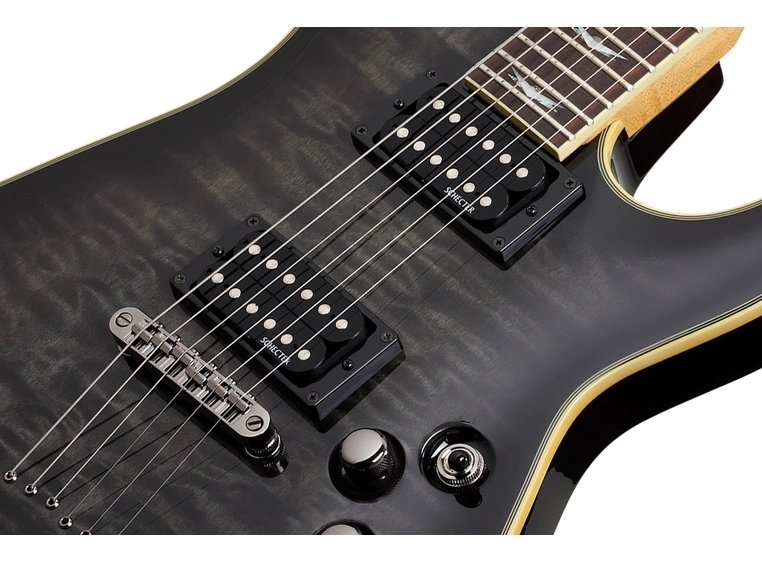 Schecter Omen 6 Extreme See Through Black 