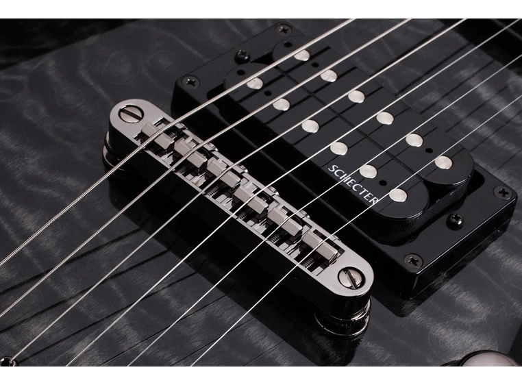 Schecter Omen 6 Extreme See Through Black 
