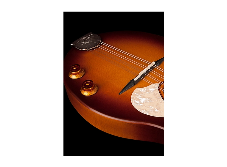 Seagull S8 Mandolin Sunburst EQ 