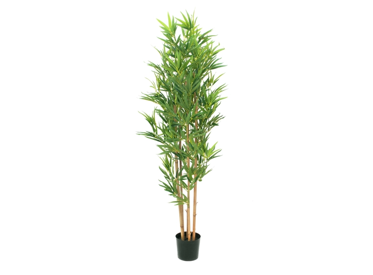 EUROPALMS Bamboo deluxe, artificial plant, 150cm 